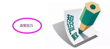 知识产权新风口来临 最强概念股全解析