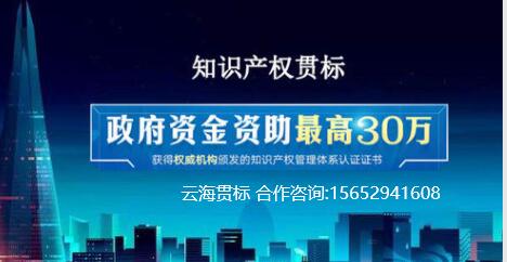 高质量知识产权贯标服务报价解析 合理投入，长远回报